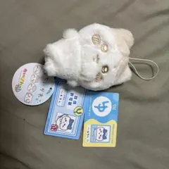 ハチワレ