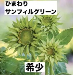 ゆず様 リクエスト 3点 まとめ商品