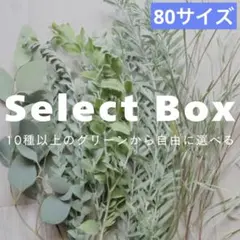 ユーカリ ポポラスベリー 枝葉 フレッシュ スワッグ 100サイズ - メルカリ