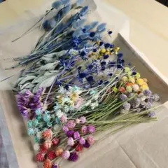 ku-様の専用です。