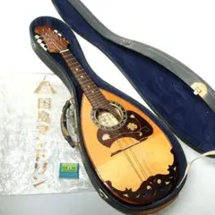 2025年最新】国島 マンドリンの人気アイテム - メルカリ