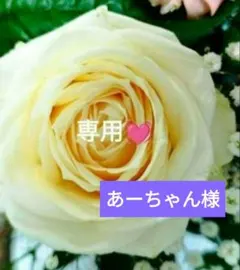 【❤あーちゃん様専用❤】追加ご購入✨️