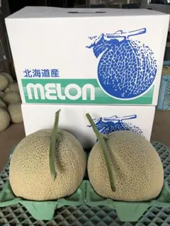 北海道産￼　メロン農家直送　　２Ｌ2玉入り 糖度は十分ありますのサムネイル
