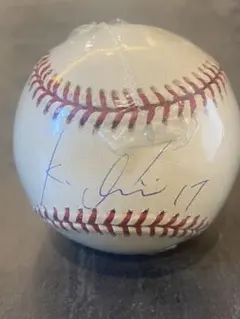 石井一久 直筆サインボール 証明書ホログラム付き＆激レア サイン入りカード２枚付 石井一久直筆サイン入りボール