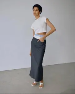 Gajess Taylor Pencil skirt ネイビー ストライプ 36 - メルカリ