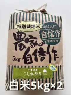 ラスト令和7年新米 コシヒカリ 千葉県いすみ市産 10キロ白米⭐︎無洗米