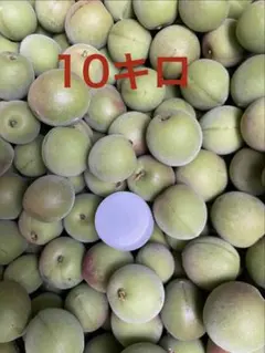 4キロです。こちらは等級大、令和7年度、新物 兵庫県産 丹波黒豆 丹波 