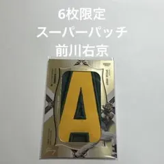 6枚限定 BBM glory 2024 スーパーパッチ ジャージカード田中晴也 