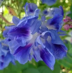 あやとも様 リクエスト 3点 まとめ商品