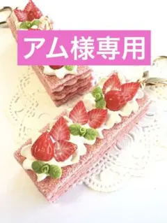 アム様 リクエスト 3点 まとめ商品