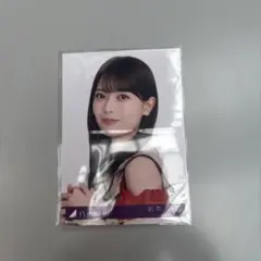 Item thumbnail for item ccad7ca0-1b0f-4565-81c4-f836cebe8b9b