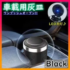 Item thumbnail for item cee33bc4-dbaf-42a1-b799-98aea0363808