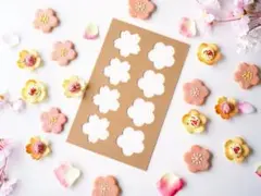 Item thumbnail for item e34d5bf2-c110-4e7f-9139-9d67962c4477