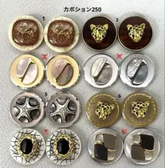 ボタンカボション250② 10/2