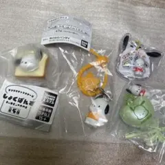 サンリオ　ポチャッコ　4点セット