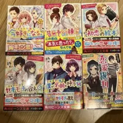 Honey works 小説　6冊セット　バラ売り可