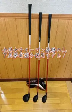 Item thumbnail for item 0f1e4d6c-65a9-467e-9b7c-7c42406943c6