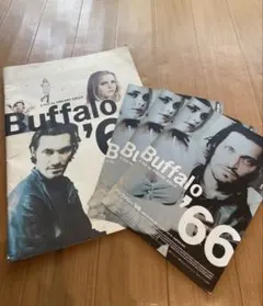 バッファロー'66 Buffalo '66 映画パンフレット、チラシ3枚セット