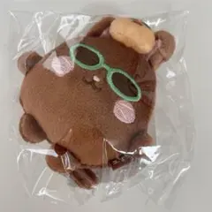 ウォンビン　トニャンドク　RIIZE ソウルコン　ミニドールキーリング