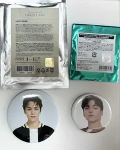 SEVENTEEN セブチ あいのちから ロング 缶バッジ バーノン - メルカリ