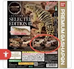 いきもの大図鑑アドバンスSELECTED EDITION2