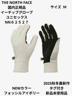 THE NORTH FACE 国内正規品イーチップグローブNN６２５２７