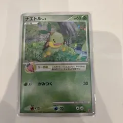 ポケモンカード ナエトル LV.9