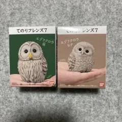 てのりフレンズ7 エゾフクロウ、ヒナ　2体