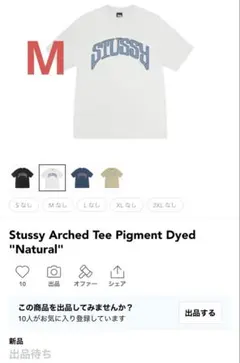 Stussy Arched Tee Pigment Dyed Mのサムネイル