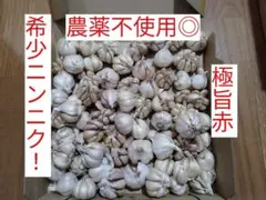 嘉定ニンニク900g 種球用 種用 割球済 自家採種 自然乾燥 - メルカリ