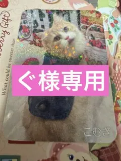 ぐ様専用