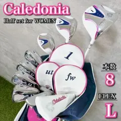 豪華8本！Caledonia レディースゴルフクラブセット 初心者【A107】のサムネイル