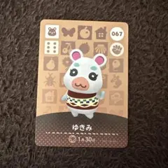 ゆきみ カード 067 amibo card どうぶつの森