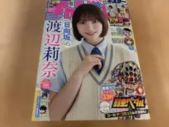 Item thumbnail for item d0293a77-e95a-4364-94a3-754eece12a0a