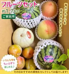 フルーツセット 夏っ子と太陽プラム 大容量☆クール便 - メルカリ