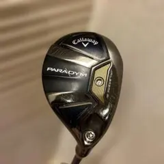 Item thumbnail for item a9bd6170-35db-4500-b1ea-108f60947016