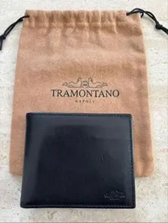 Item thumbnail for item e13eaf8c-d65b-40f8-bf34-cf654a66799b