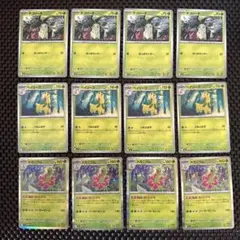 チコリータ ベイリーフ メガニウム まとめ売り