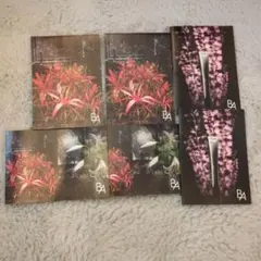ポーラ BA 試供品 10点