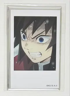 2025年最新】チェキ風ブロマイド 義勇の人気アイテム - メルカリ