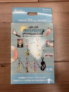 ディズニーリゾートHello Hello SUMMERキーホルダー新品