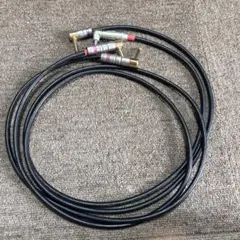 Item thumbnail for item 45a5cbf5-185a-4f72-86fc-56ab68a9344c