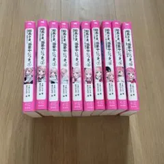 総長さま、溺愛中につき。①〜⑩巻