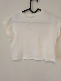 Item thumbnail for item 7f8e7287-0803-4c2b-a77e-8bbc47cf306d