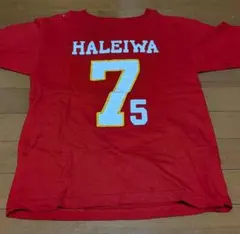 【古着】ＨＡＬＥＩＷＡ Ｔシャツ