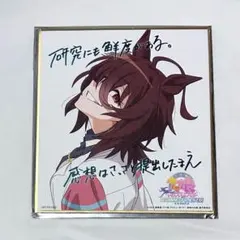 2026年最新】アグネスタキオンの人気アイテム - メルカリ