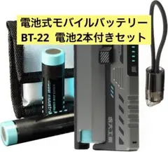 大人気❣️【虎大工業】公式 電池交換デザイン モバイルバッテリー 1364 大人気❣️【虎大工業】公式 電池交換デザイン モバイル