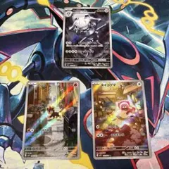 ハガネール　シシコ　ヌイコグマ　AR３枚セット