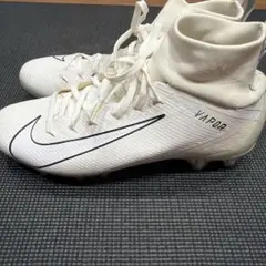 Item thumbnail for item 5d39f97e-1377-41be-9f05-471b39931ee1