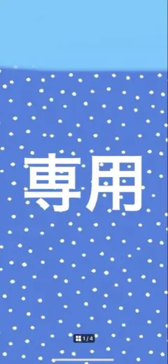 専用出品